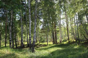 Similar image 250617