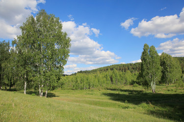 Similar image 250618