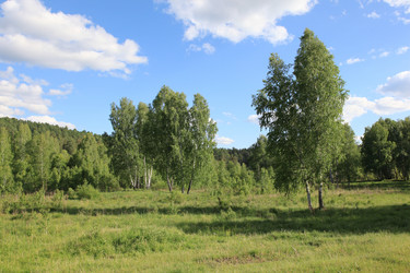 Similar image 250619