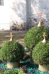 Similar image 250670