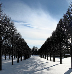 Similar image 250672