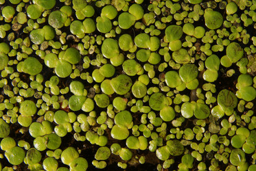 Similar image 250771