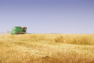 Similar image 250776