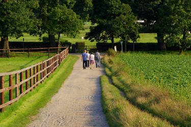 Similar image 250831