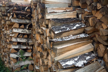 Similar image 250843