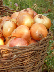 Similar image 250845