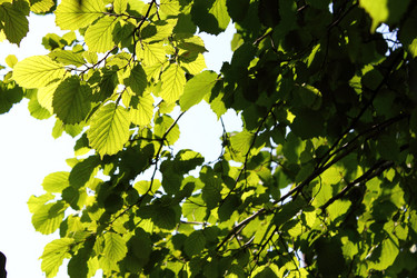 Similar image 250851