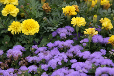 Similar image 250855