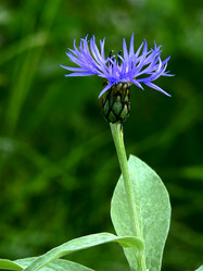 Similar image 250859