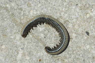 Similar image 250875