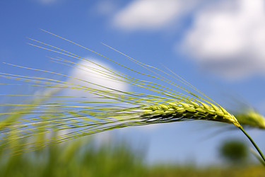 Similar image 250886