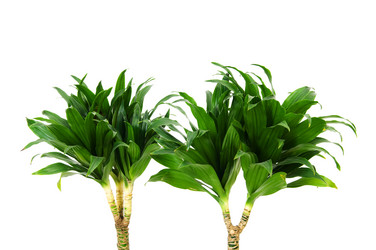 Similar image 250894