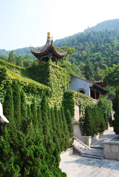 Similar image 250907