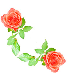 Similar image 250924