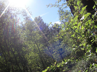 Similar image 250962