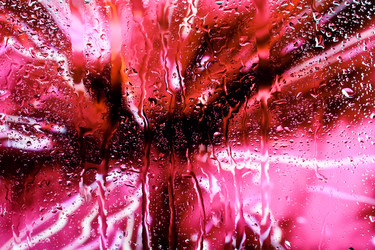 Similar image 250978