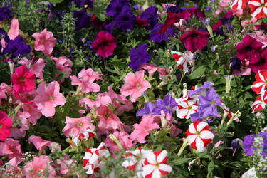 Similar image 251108