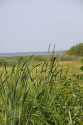 Similar image 251149