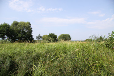 Similar image 251152