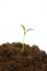 Similar image 251300