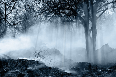 Similar image 251322