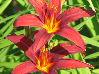 Similar image 251407