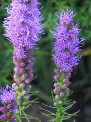 Similar image 251430