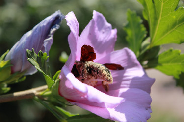 Similar image 251436