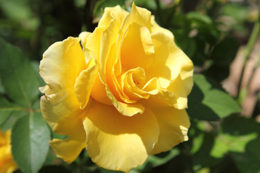 Similar image 251437