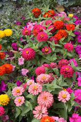 Similar image 251454