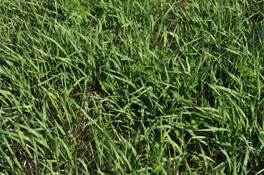 Similar image 251512