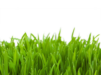 Similar image 251554