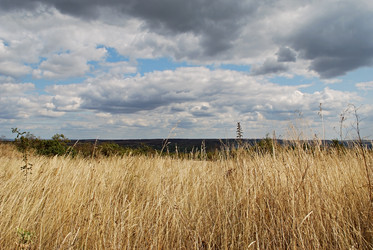 Similar image 251565