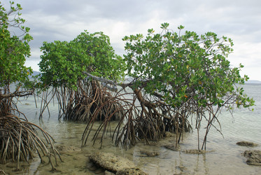 Similar image 251590