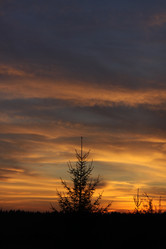 Similar image 251599