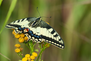 Similar image 251649