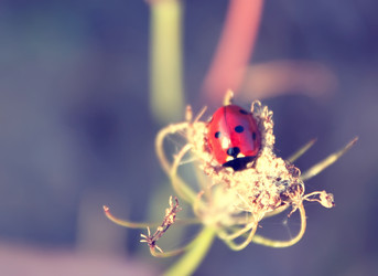 Similar image 251684