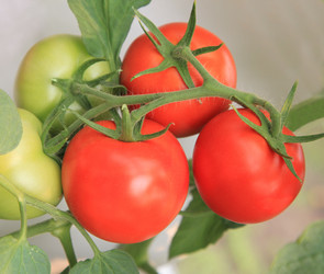 Similar image 251705