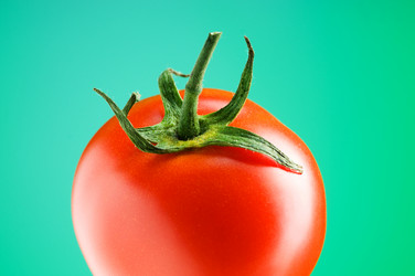 Similar image 251835