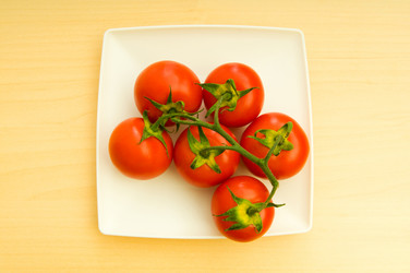 Similar image 251840