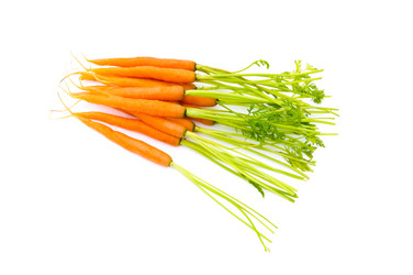 Similar image 251859