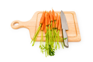 Similar image 251860