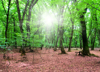 Similar image 251867