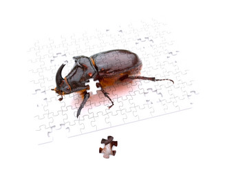 Similar image 251887