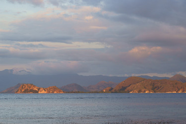 Similar image 251917