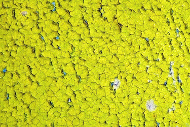 Similar image 251920