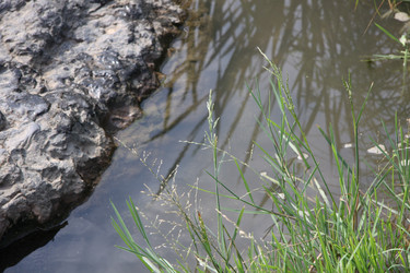 Similar image 251932