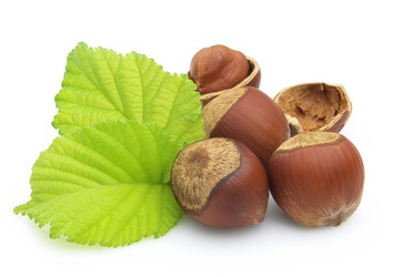 Similar image 251963