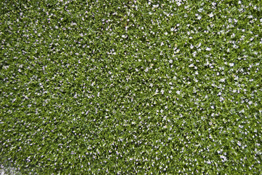 Similar image 252041