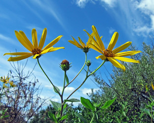 Similar image 252054